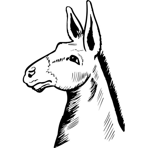 BURRO014 Thumbnail