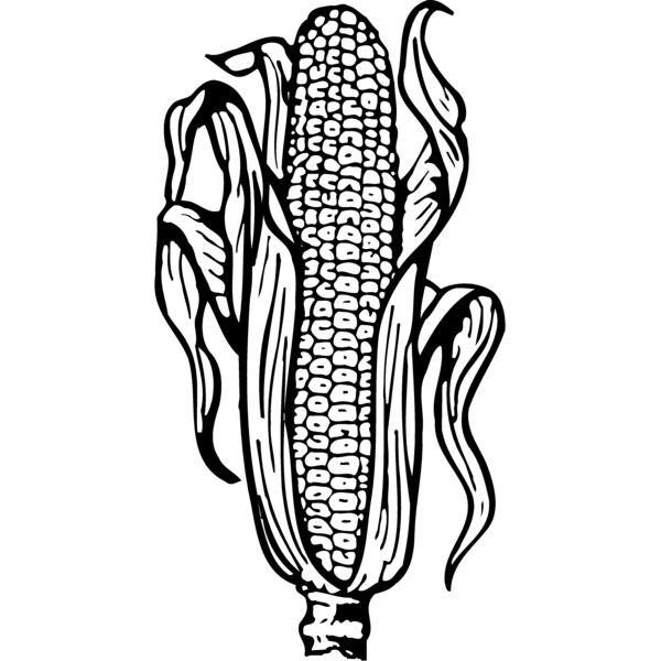 GRAIN001 Thumbnail