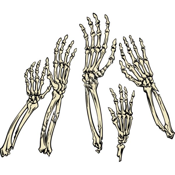 ES2bones001clr Thumbnail