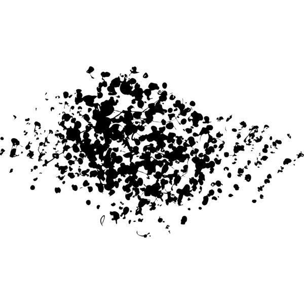 ES2splat004bw Thumbnail