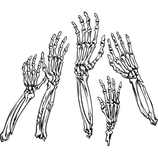 ES2bones001bw Thumbnail