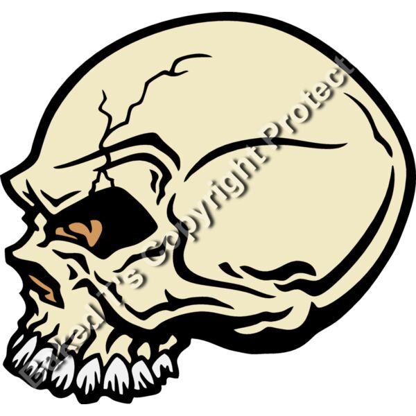 ES2skull032CLR Thumbnail