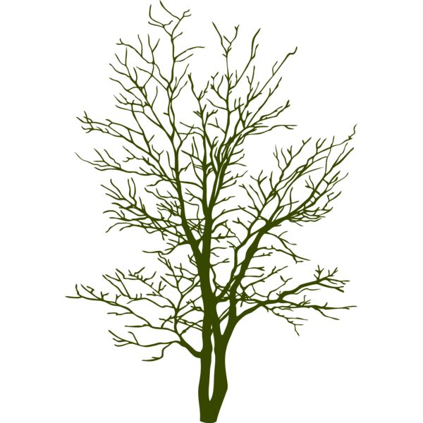 ES2tree007clr Thumbnail