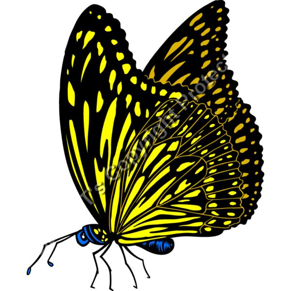 ES3butterfly01clr Thumbnail