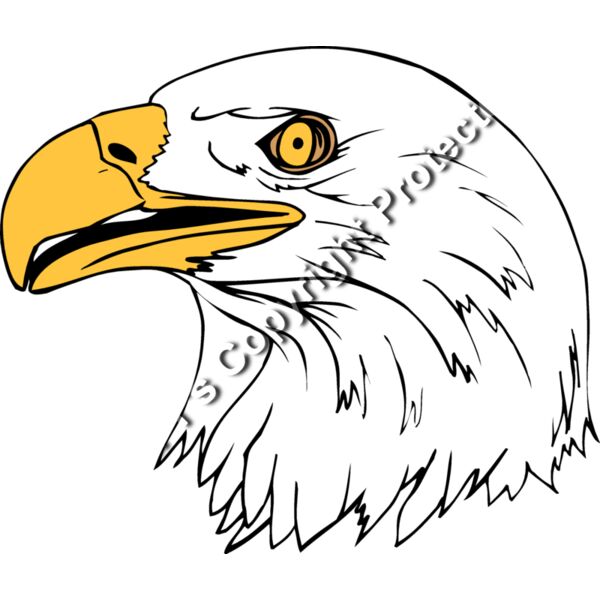 EAGLE1 Thumbnail