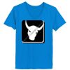 Ladies’  Junior Fine Jersey V-Neck Longer Length T-Shirt Thumbnail