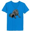 Ladies’  Junior Fine Jersey V-Neck Longer Length T-Shirt Thumbnail