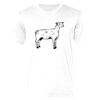 Ringspun Cotton Soft Style T-Shirt Thumbnail