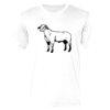 Ringspun Cotton Soft Style T-Shirt Thumbnail