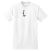 XXL Hanes Tagless T Thumbnail
