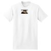 XXL Hanes Tagless T Thumbnail
