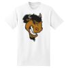 XXL Hanes Tagless T Thumbnail