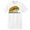 XXL Hanes Tagless T Thumbnail