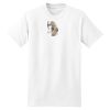 XXL Hanes Tagless T Thumbnail
