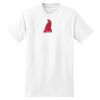 XXL Hanes Tagless T Thumbnail