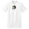 XXL Hanes Tagless T Thumbnail