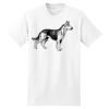 XXL Hanes Tagless T Thumbnail