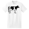 XXL Hanes Tagless T Thumbnail