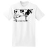 XXL Hanes Tagless T Thumbnail