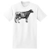 XXL Hanes Tagless T Thumbnail