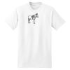 XXL Hanes Tagless T Thumbnail