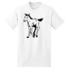 XXL Hanes Tagless T Thumbnail