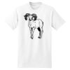 XXL Hanes Tagless T Thumbnail