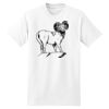 XXL Hanes Tagless T Thumbnail