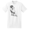 XXL Hanes Tagless T Thumbnail