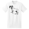 XXL Hanes Tagless T Thumbnail