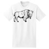 XXL Hanes Tagless T Thumbnail