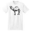 XXL Hanes Tagless T Thumbnail
