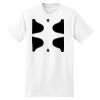 XXL Hanes Tagless T Thumbnail