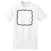 XXL Hanes Tagless T Thumbnail