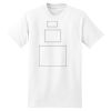 XXL Hanes Tagless T Thumbnail