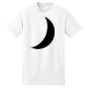 XXL Hanes Tagless T Thumbnail