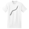XXL Hanes Tagless T Thumbnail