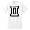 XXL Hanes Tagless T Thumbnail