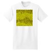 XXL Hanes Tagless T Thumbnail