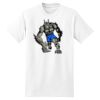 XXL Hanes Tagless T Thumbnail