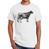 Gildan T-Shirt Thumbnail