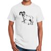 Gildan T-Shirt Thumbnail
