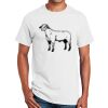 Gildan T-Shirt Thumbnail